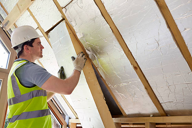 Best Local Insulation Services  in Baltimore Highlands, MD